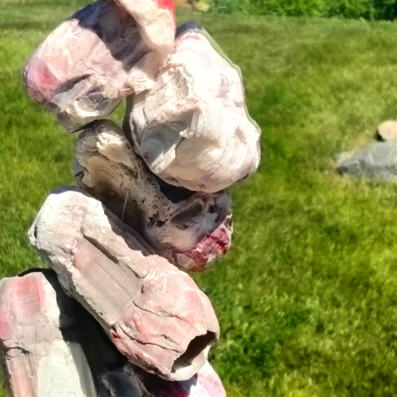 Shell decor Barnacle cluster art. Beach art - Picture 9 of 15